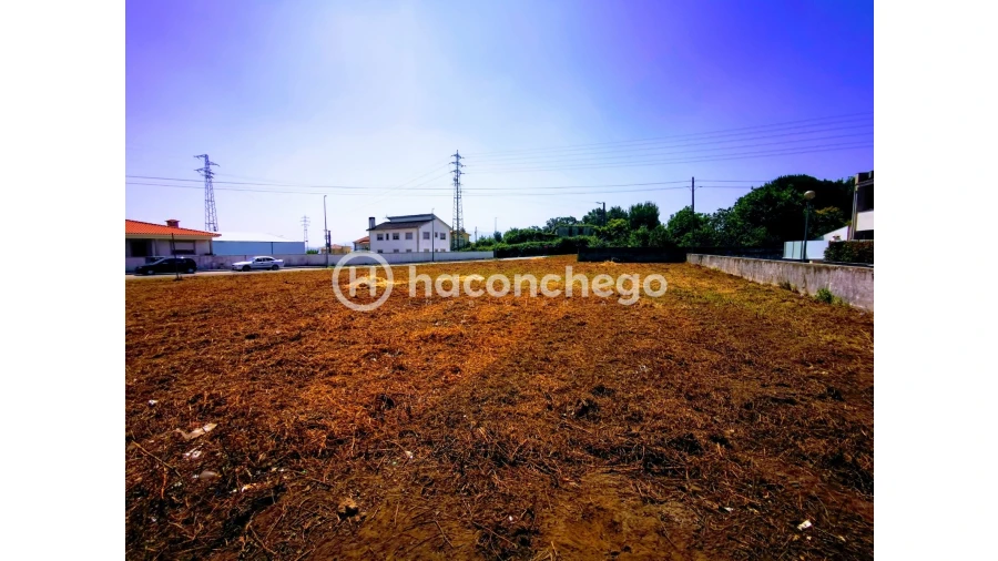 Terreno para Venda em Galegos (São Martinho) Foto 3