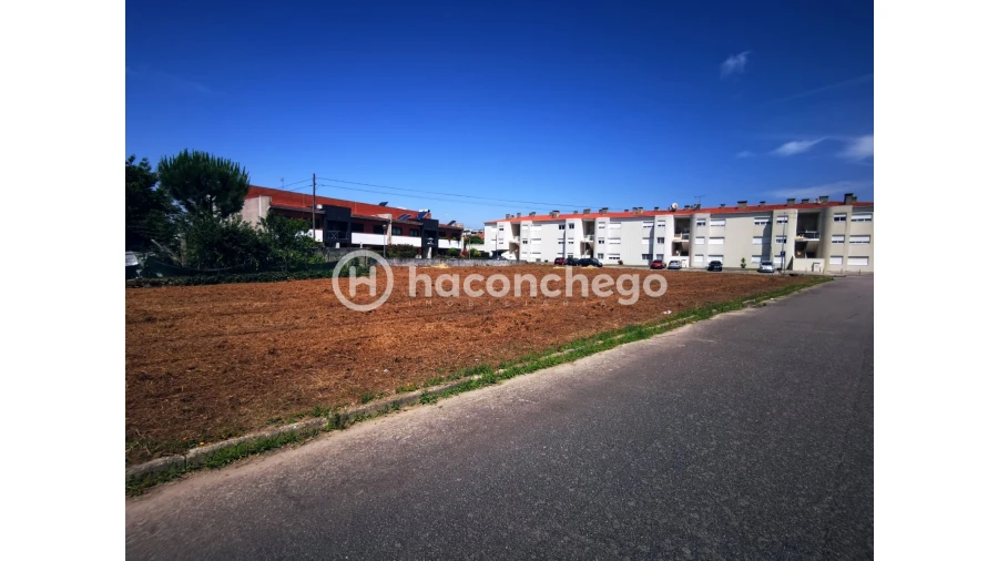 Terreno para Venda em Galegos (São Martinho) Foto 6