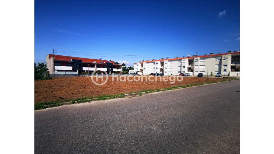Terreno para Venda em Galegos (São Martinho) Foto 5