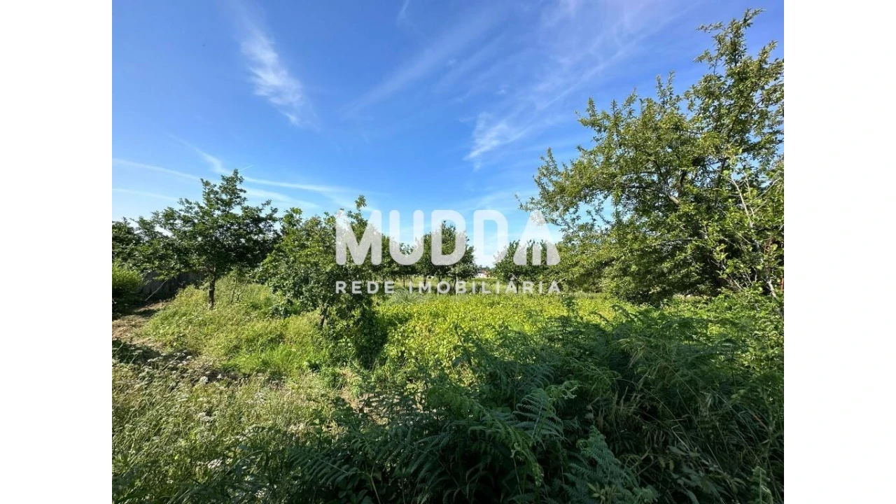 Moradia para Venda em Branca Foto 11