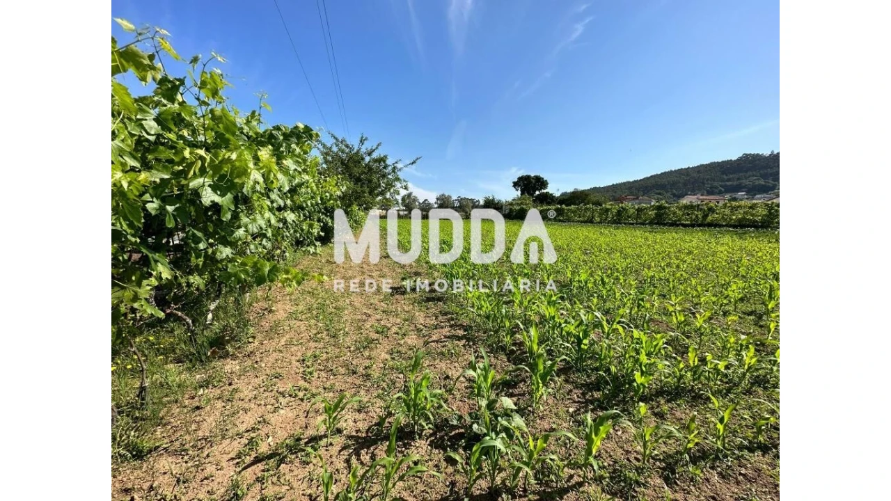 Moradia para Venda em Branca Foto 14