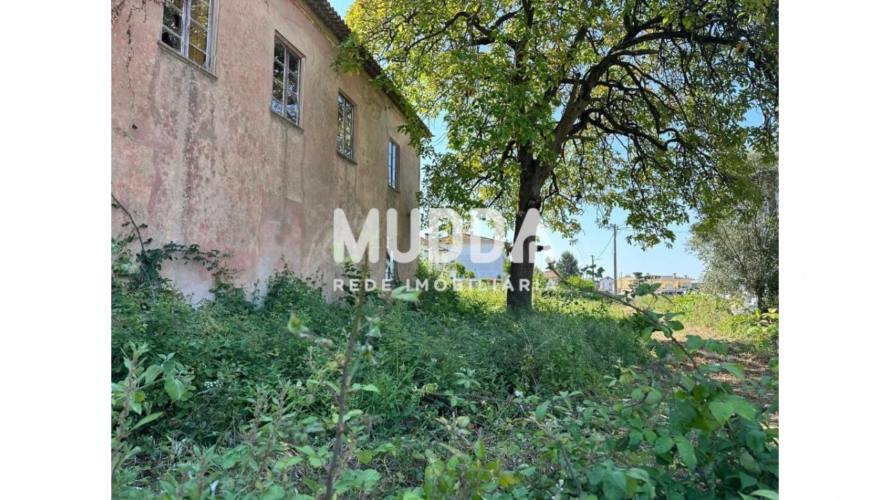 Moradia para Venda em Branca Foto 2