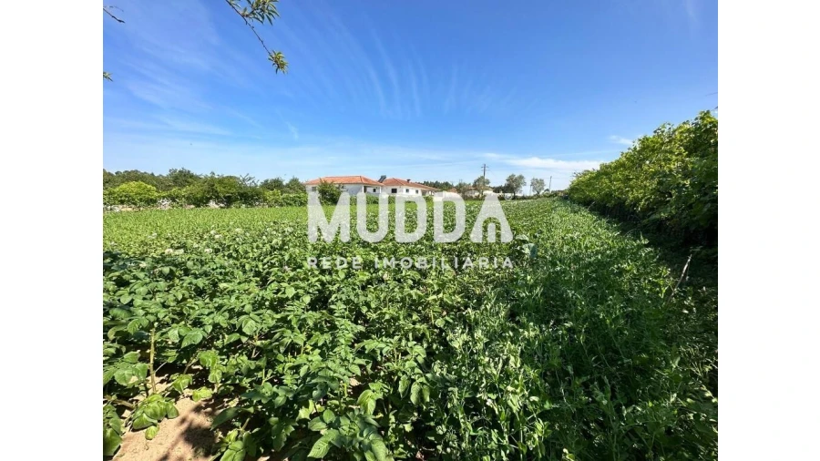 Moradia para Venda em Branca Foto 9