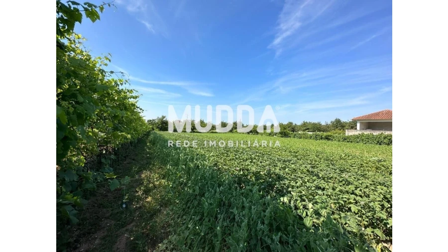 Moradia para Venda em Branca Foto 7