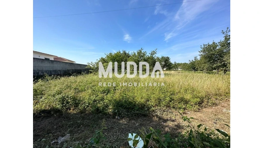 Moradia para Venda em Branca Foto 19