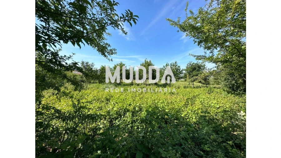 Moradia para Venda em Branca Foto 12