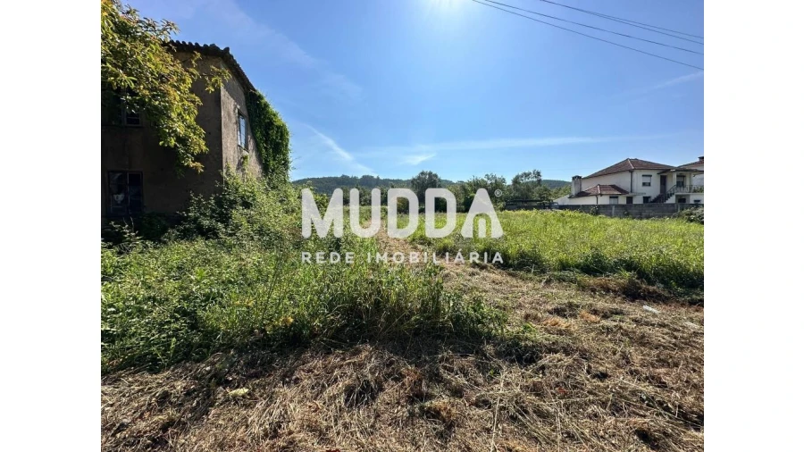 Moradia para Venda em Branca Foto 4