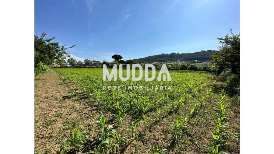 Moradia para Venda em Branca Foto 13