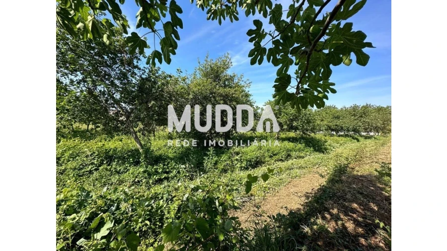 Moradia para Venda em Branca Foto 18