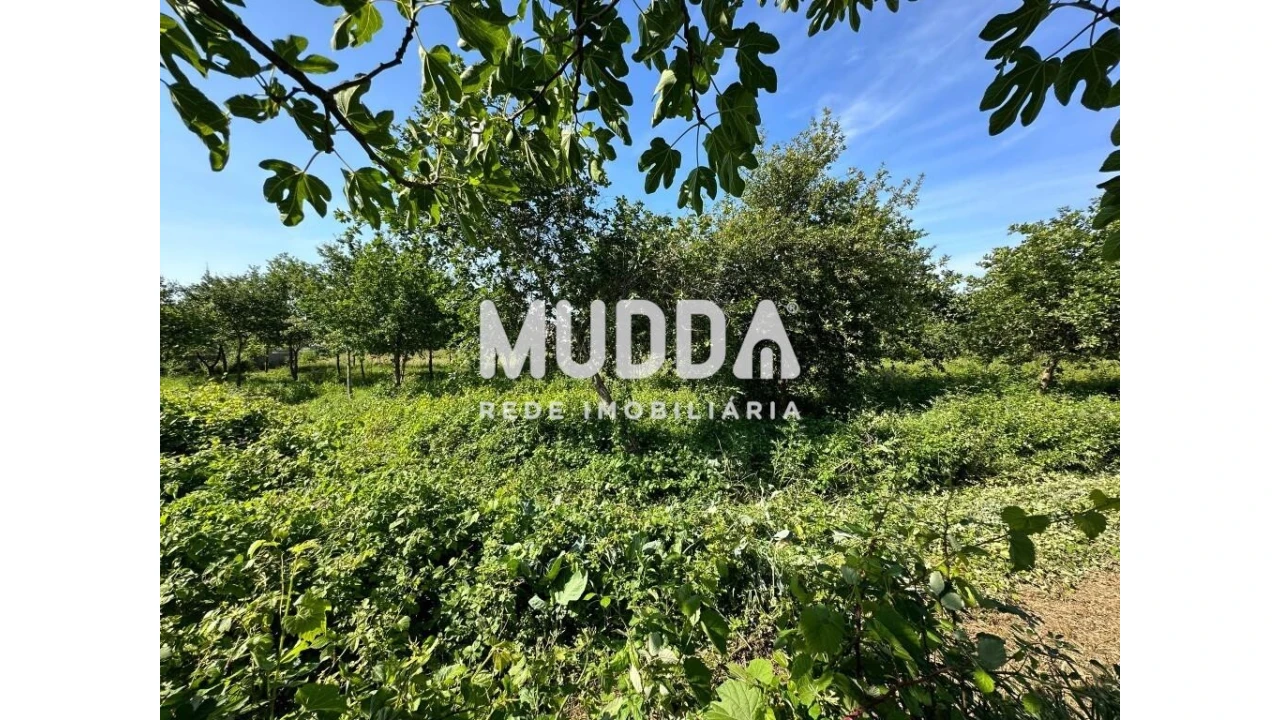 Moradia para Venda em Branca Foto 15