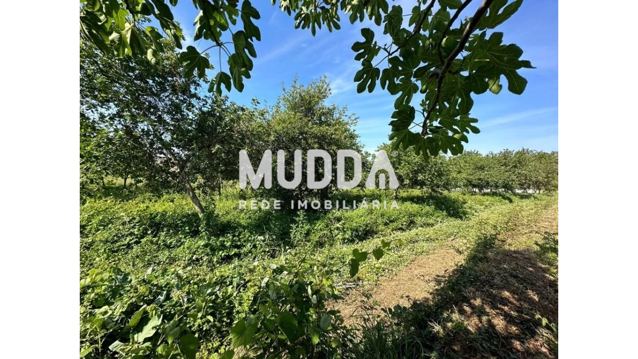 Moradia para Venda em Branca Foto 18