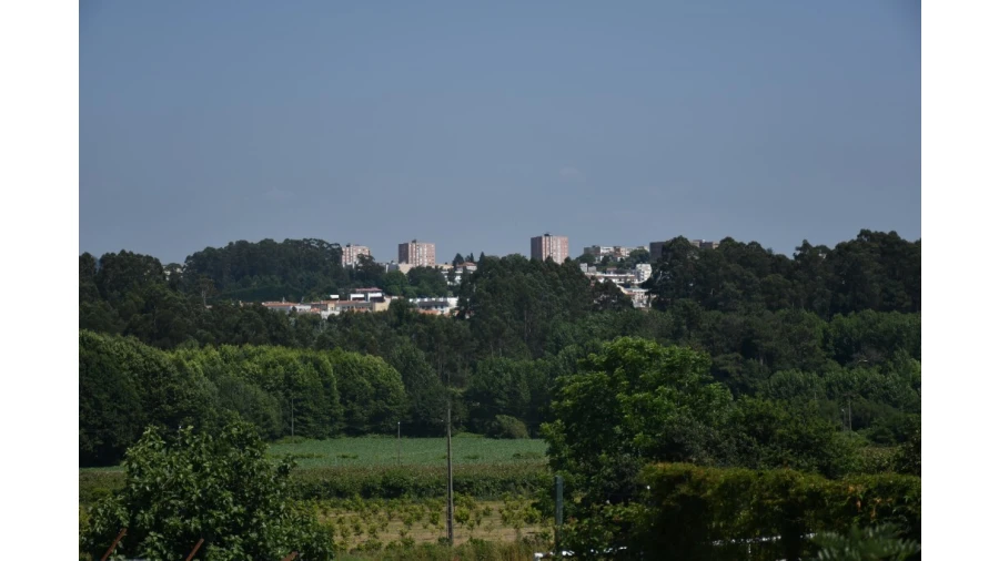 Terreno para Venda em Milheiros Foto 8