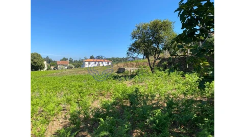 Terreno para Venda em Grijó e Sermonde
