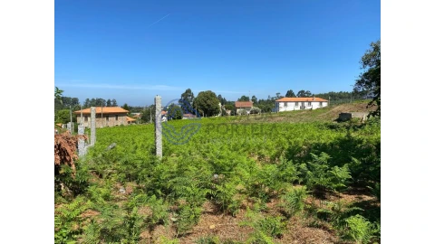 Terreno para Venda em Grijó e Sermonde