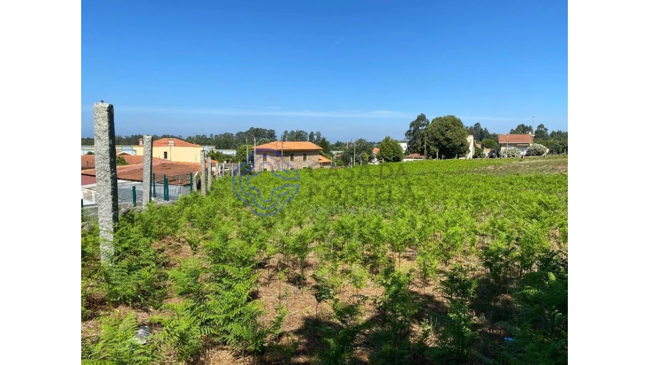 Terreno para Venda em Grijó e Sermonde Foto 2