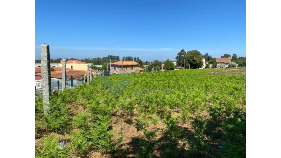 Terreno para Venda em Grijó e Sermonde Foto 2