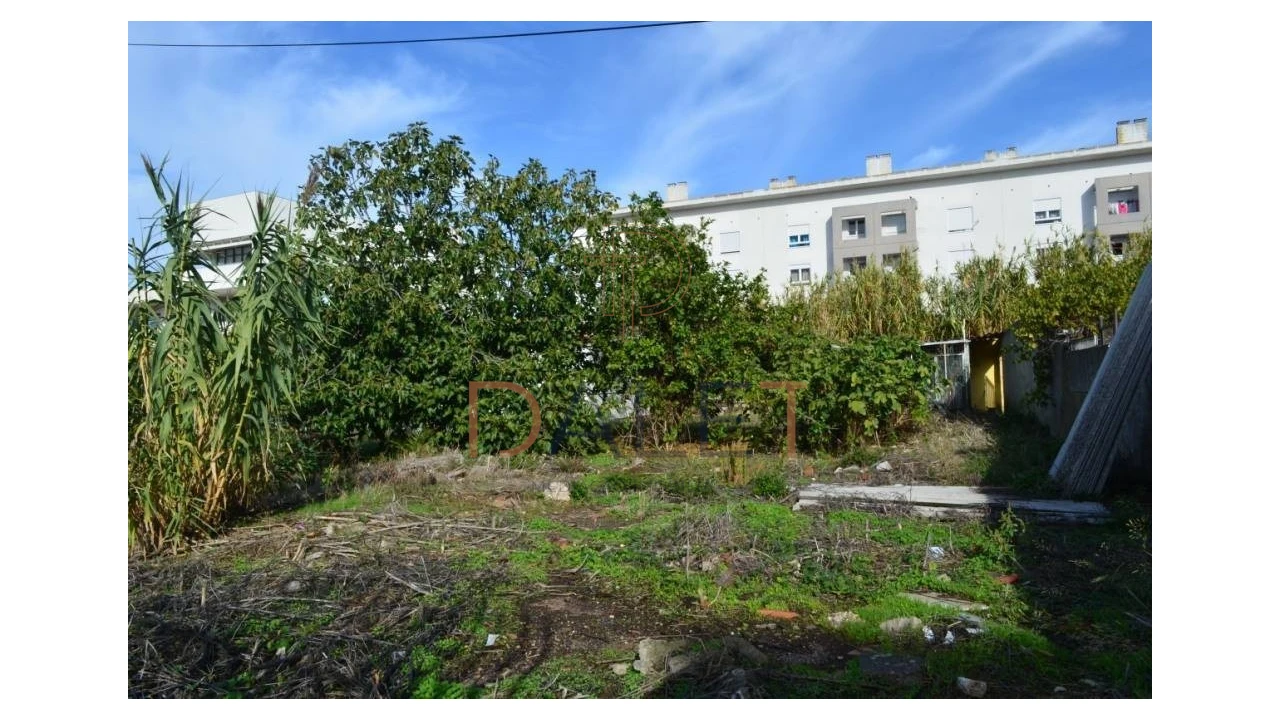 Terreno para Venda em Ajuda Foto 7