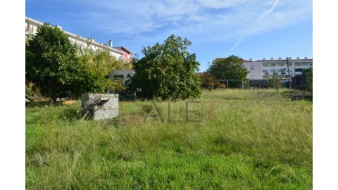 Terreno para Venda em Ajuda