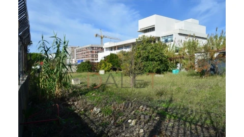 Terreno para Venda em Ajuda