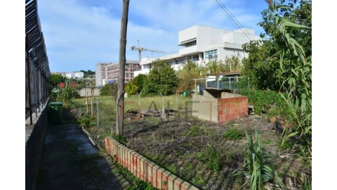 Terreno para Venda em Ajuda