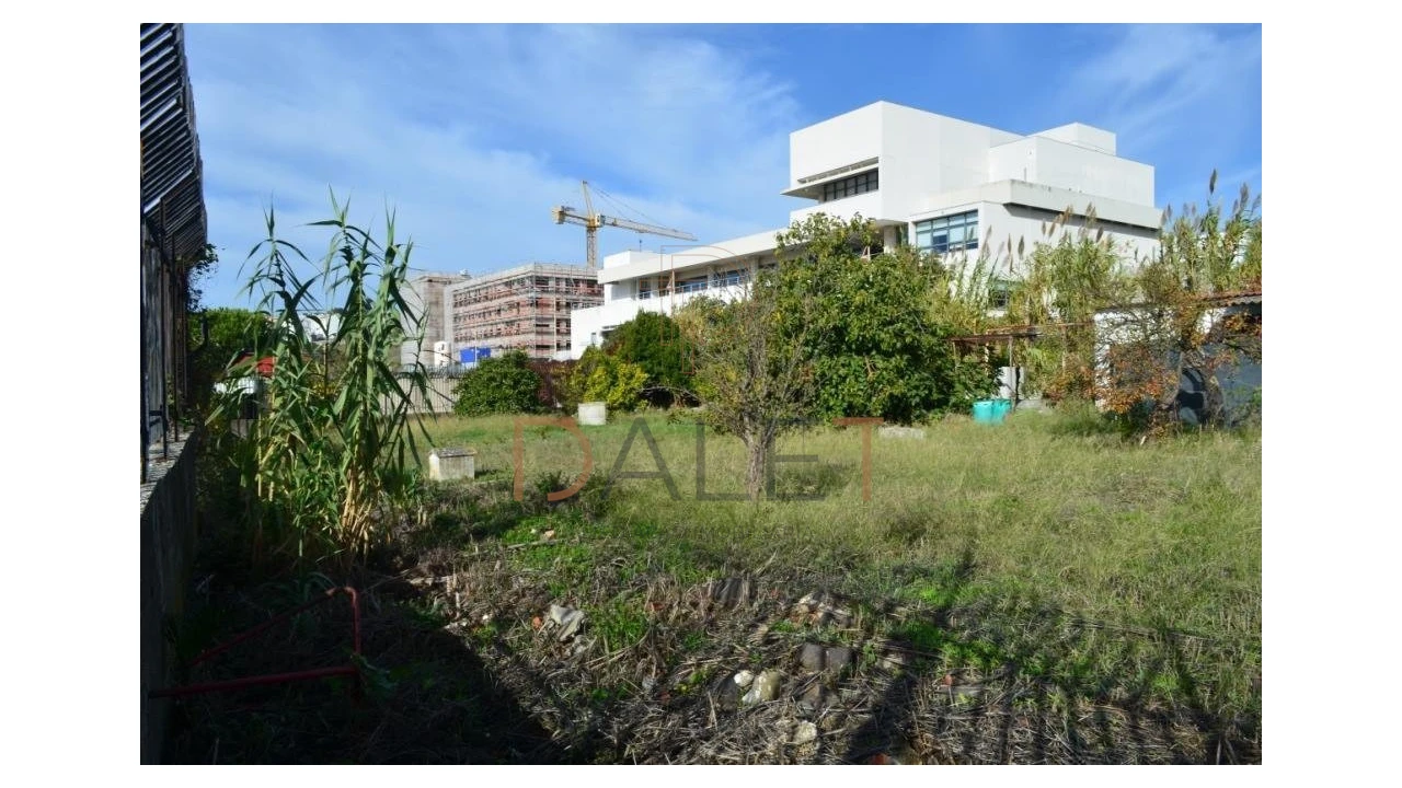 Terreno para Venda em Ajuda Foto 3