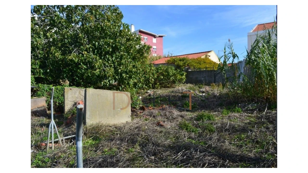 Terreno para Venda em Ajuda Foto 8