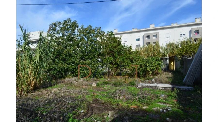 Terreno para Venda em Ajuda Foto 7