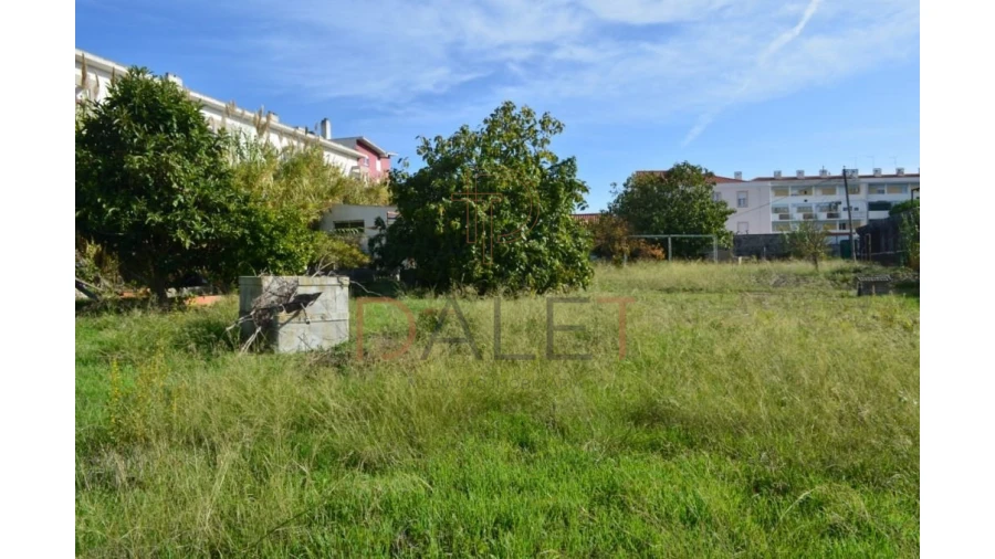 Terreno para Venda em Ajuda Foto 6