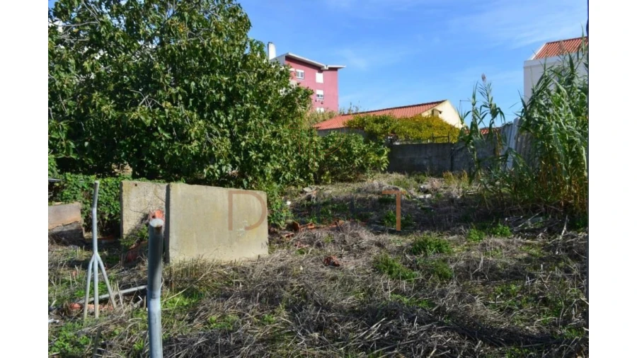 Terreno para Venda em Ajuda Foto 8