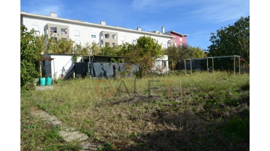 Terreno para Venda em Ajuda Foto 11