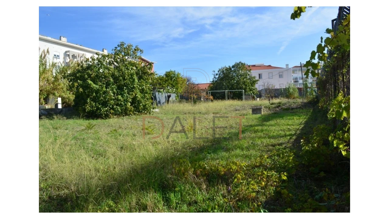 Terreno para Venda em Ajuda Foto 4