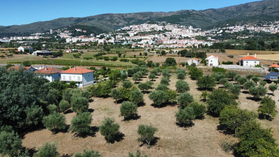 Moradia T6 para Venda em Covilhã e Canhoso Foto 6