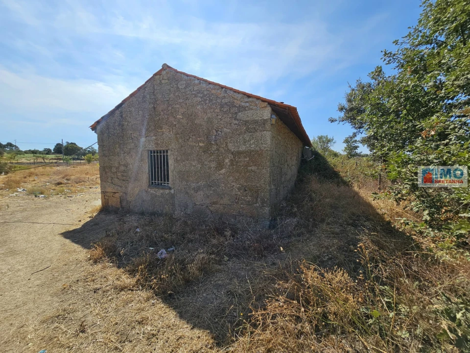 Quinta T2 para Venda em Lardosa Foto 4