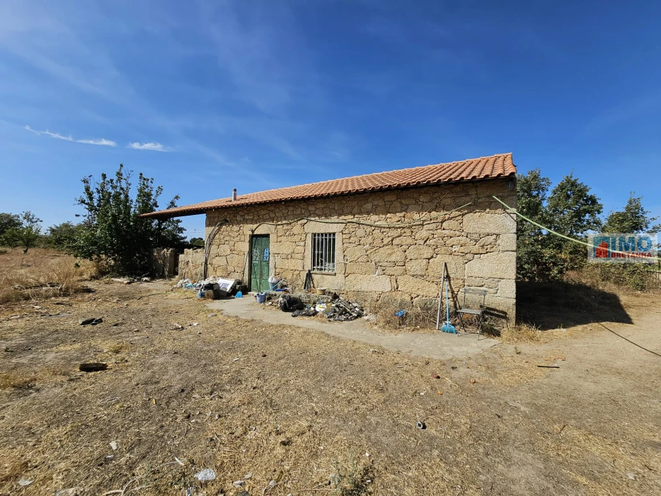 Quinta T2 para Venda em Lardosa Foto 3