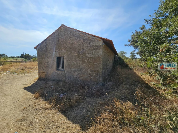 Quinta T2 para Venda em Lardosa Foto 4