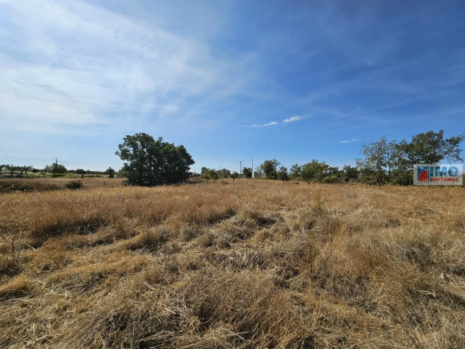 Quinta T2 para Venda em Lardosa Foto 15