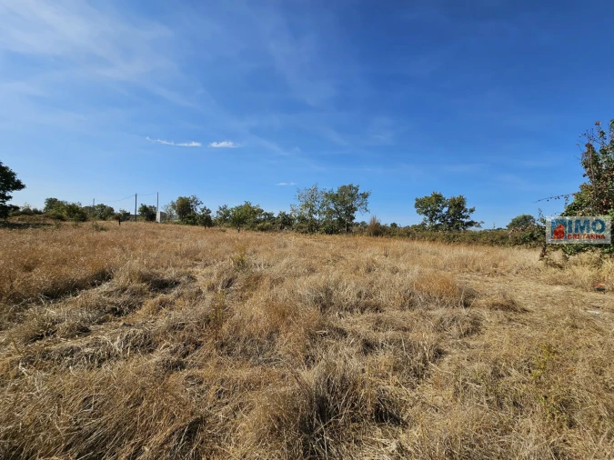 Quinta T2 para Venda em Lardosa Foto 16