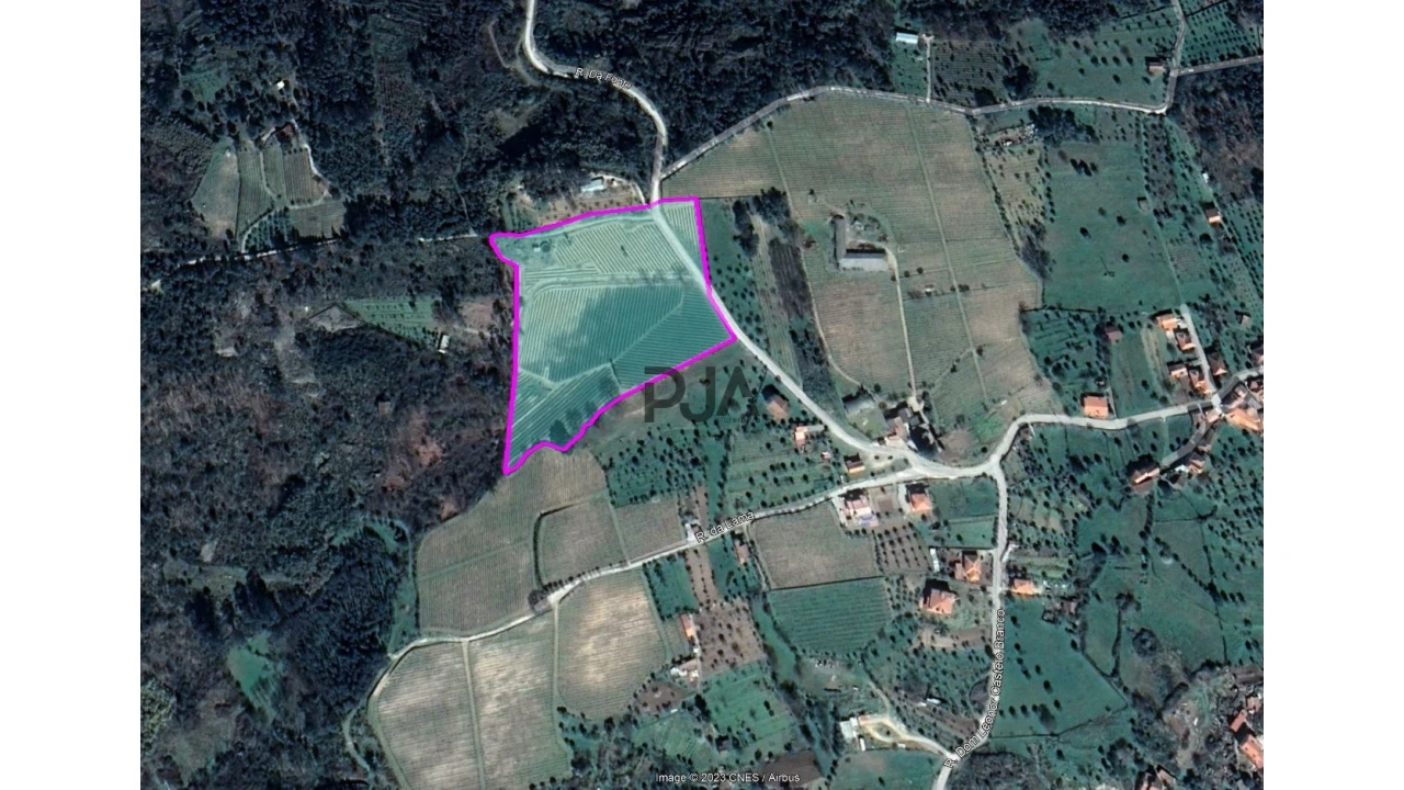 Quinta T0 para Venda em Quintela de Azurara Foto 10