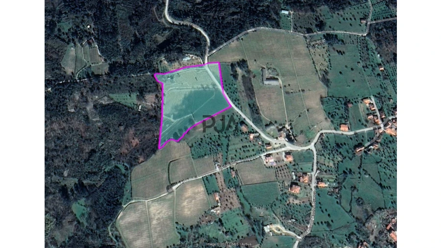 Quinta T0 para Venda em Quintela de Azurara Foto 10