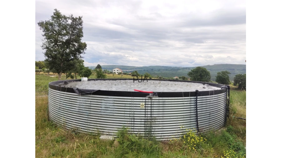 Quinta T0 para Venda em Quintela de Azurara Foto 4