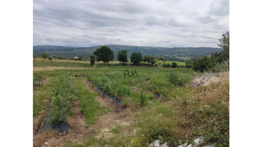 Quinta T0 para Venda em Quintela de Azurara Foto 5