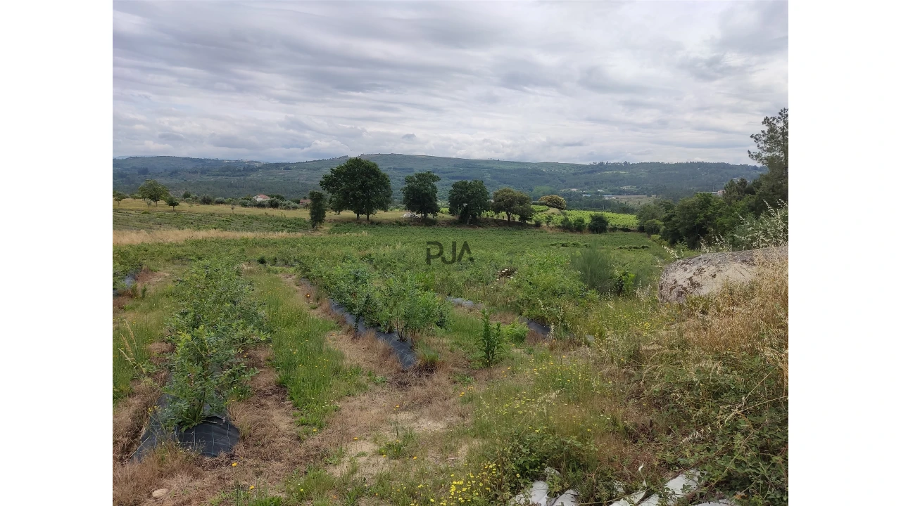 Quinta T0 para Venda em Quintela de Azurara Foto 5