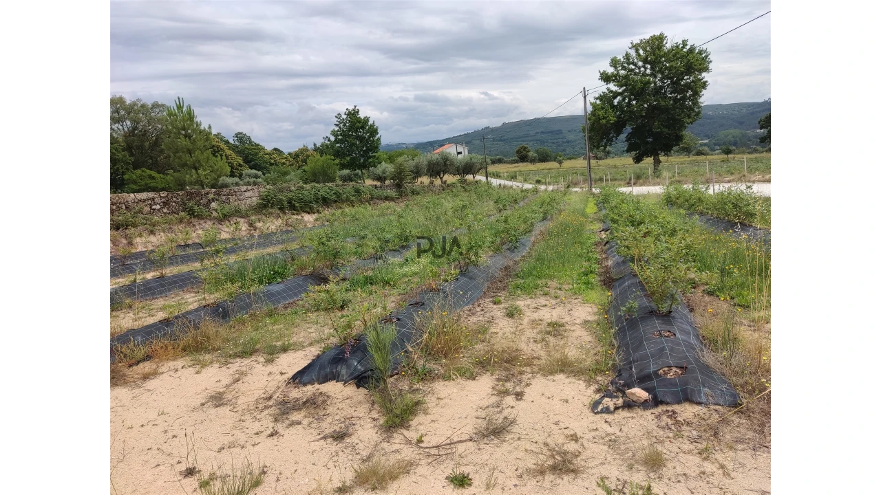 Quinta T0 para Venda em Quintela de Azurara Foto 9