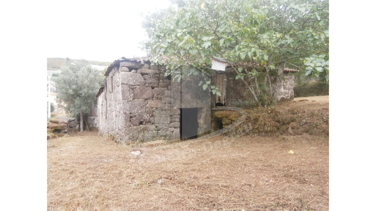 Quinta T0 para Venda em Verim, Friande e Ajude Foto 1