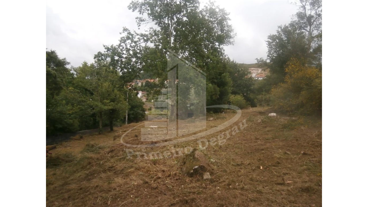 Quinta T0 para Venda em Verim, Friande e Ajude Foto 12
