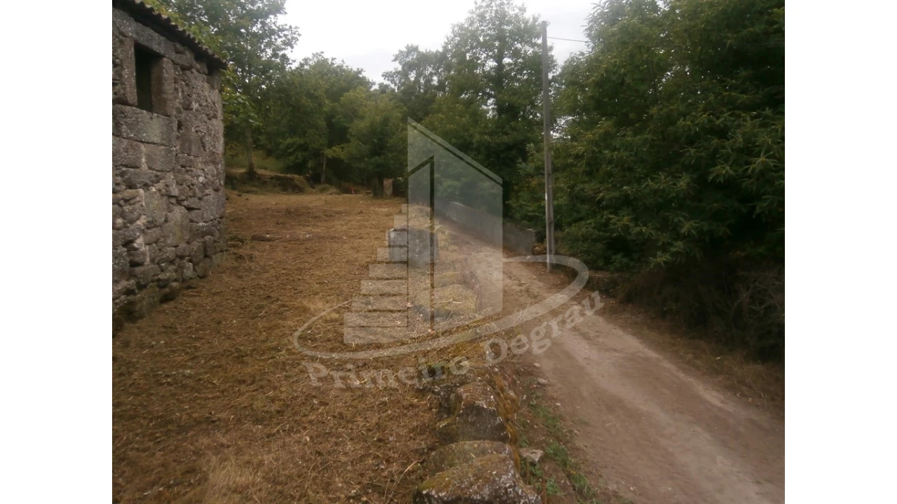 Quinta T0 para Venda em Verim, Friande e Ajude Foto 11
