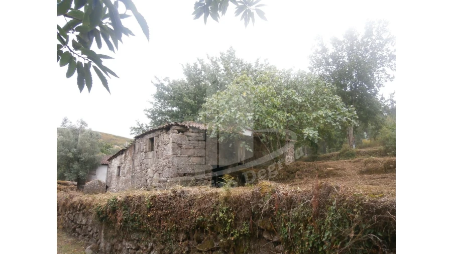 Quinta T0 para Venda em Verim, Friande e Ajude Foto 3