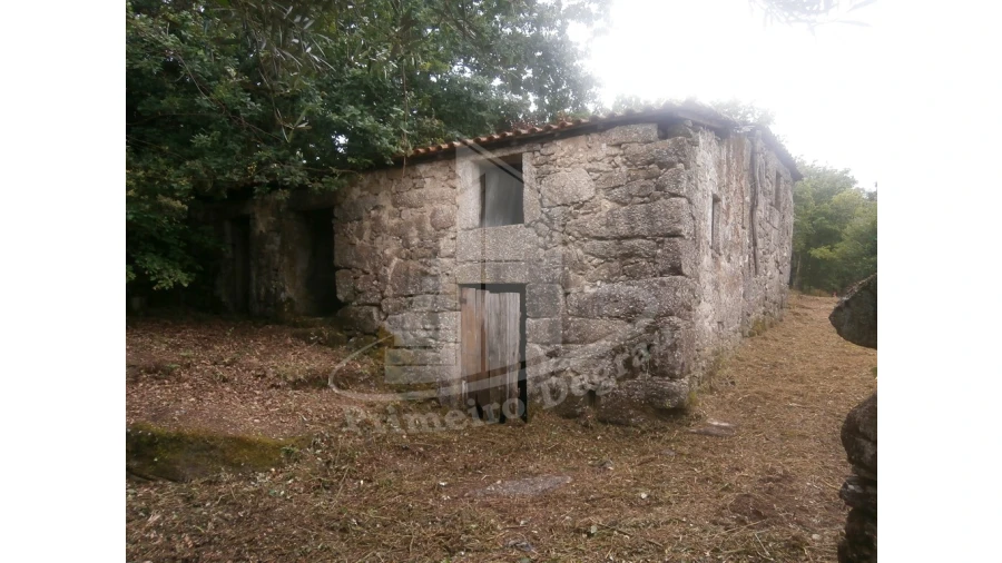 Quinta T0 para Venda em Verim, Friande e Ajude Foto 4