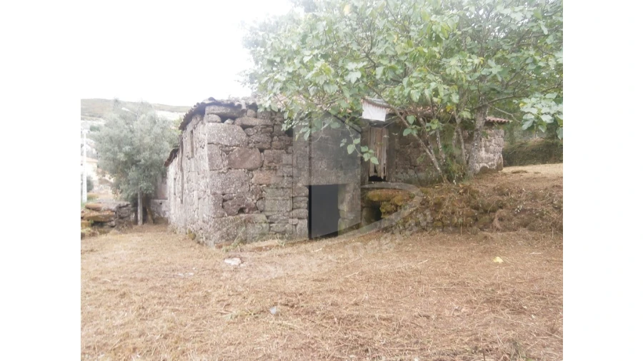 Quinta T0 para Venda em Verim, Friande e Ajude Foto 1