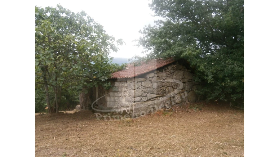Quinta T0 para Venda em Verim, Friande e Ajude Foto 7